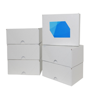 Business Card Boxes - Folding (Box)